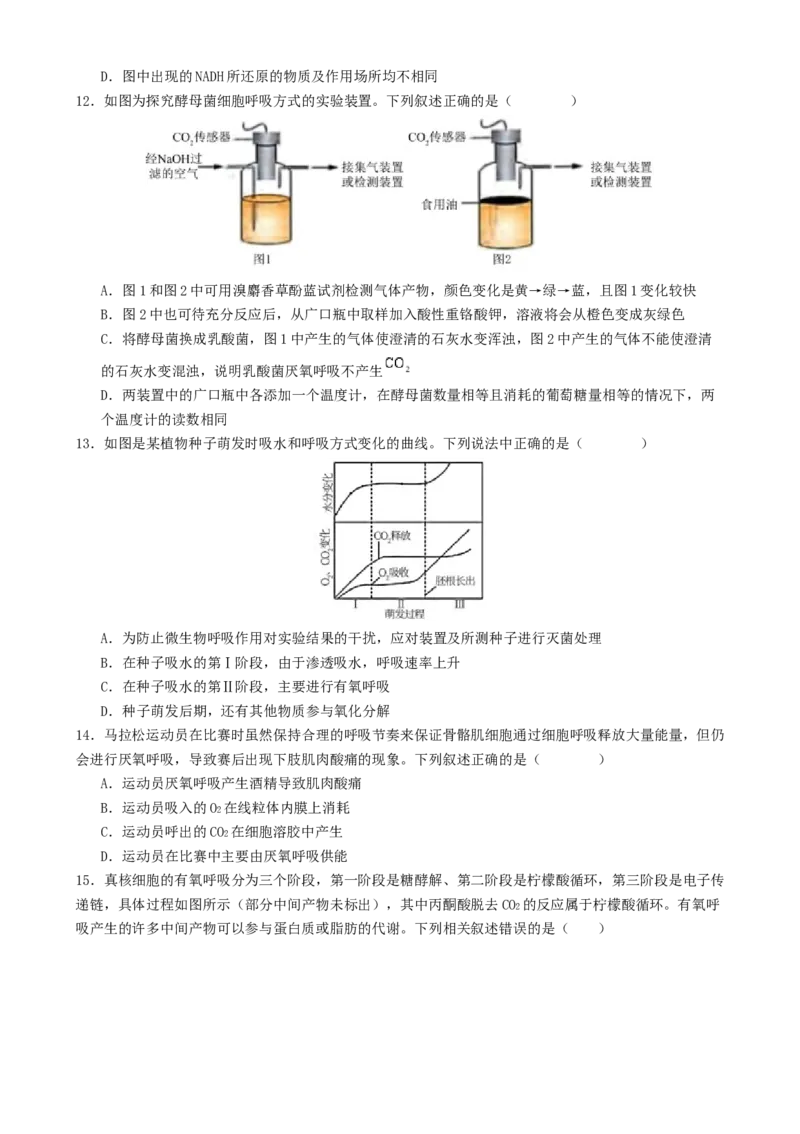 专题二细胞的能量供应和利用（原卷版）_2025年新高考资料_二轮复习_01高考语文等多个文件_上好课2025年高考生物二轮复习讲练测（新高考通用）