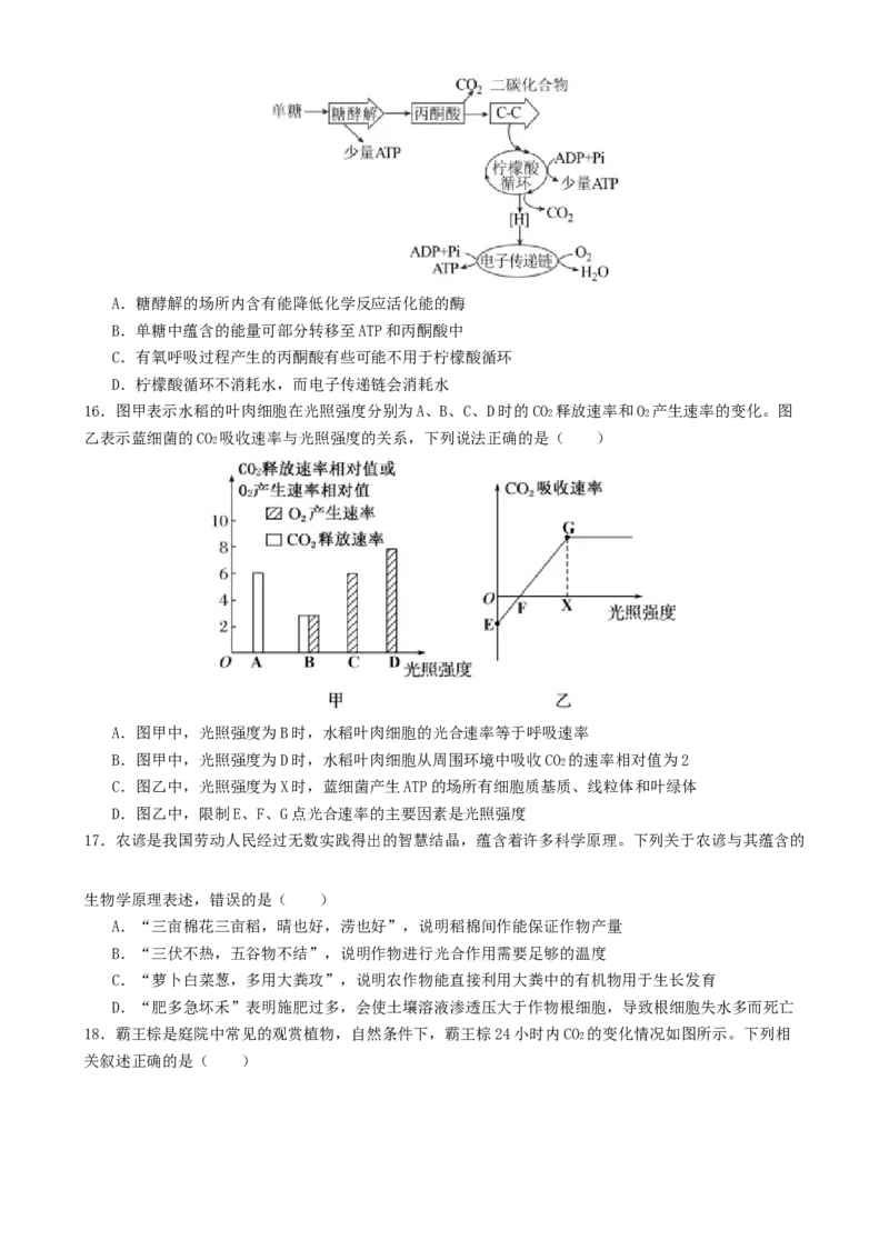 专题二细胞的能量供应和利用（原卷版）_2025年新高考资料_二轮复习_01高考语文等多个文件_上好课2025年高考生物二轮复习讲练测（新高考通用）