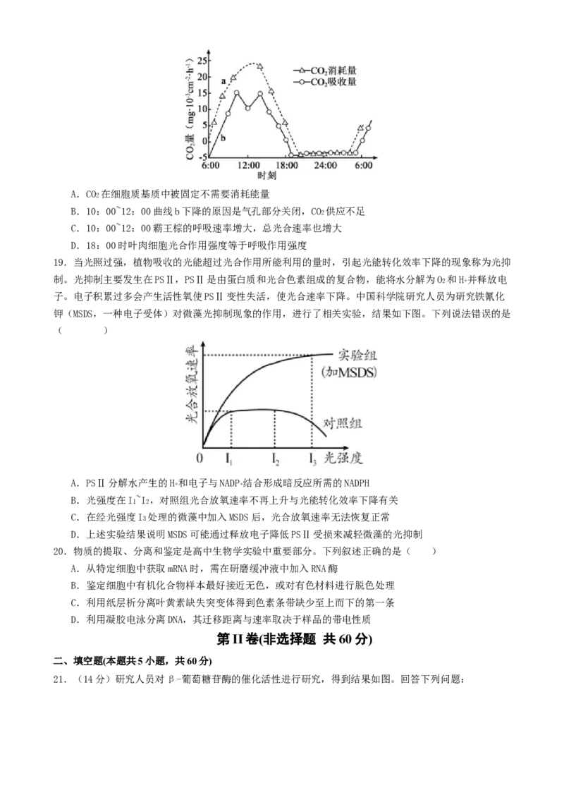 专题二细胞的能量供应和利用（原卷版）_2025年新高考资料_二轮复习_01高考语文等多个文件_上好课2025年高考生物二轮复习讲练测（新高考通用）