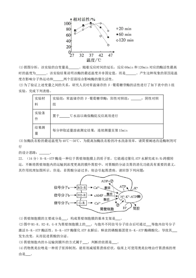 专题二细胞的能量供应和利用（原卷版）_2025年新高考资料_二轮复习_01高考语文等多个文件_上好课2025年高考生物二轮复习讲练测（新高考通用）