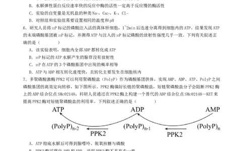 专题二细胞的能量供应和利用（原卷版）_2025年新高考资料_二轮复习_01高考语文等多个文件_上好课2025年高考生物二轮复习讲练测（新高考通用）