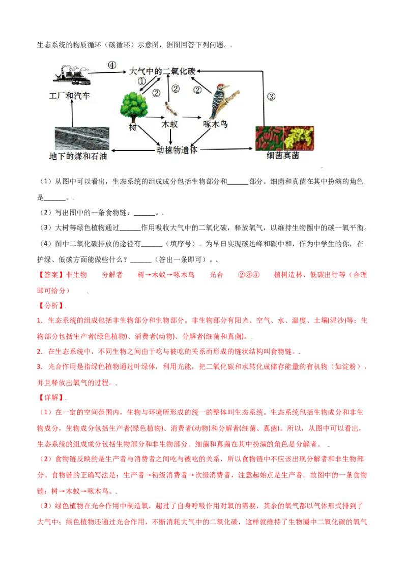 必考点05生物圈是最大的生态系统-（人教版）（解析版）_初中全科电子版试卷练习试题_生物_生物人教版7上练习&mdash;24新版已更新_人教生物7年级上专项练习28份