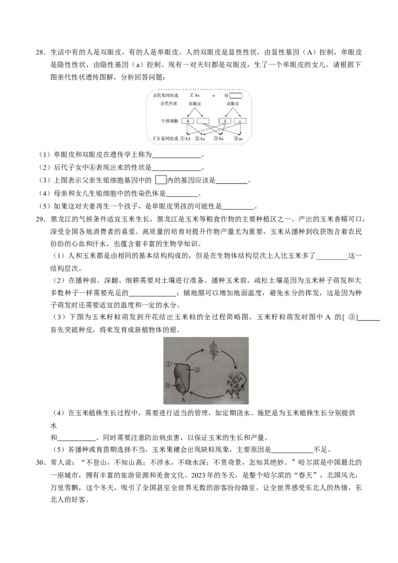 生物（黑龙江哈尔滨卷）（考试版A4）_初中全科电子版试卷练习试题_生物_2024中考模拟题生物(1)_一模_生物（黑龙江哈尔滨卷）-2024年中考第一次模拟考试