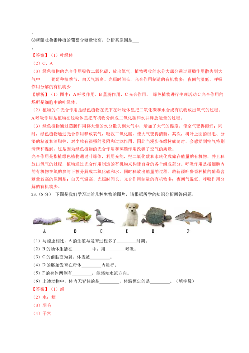 生物（江西卷）（全解全析）_初中全科电子版试卷练习试题_生物_2024中考模拟题生物(1)_一模_生物（江西卷）-2024年中考第一次模拟考试