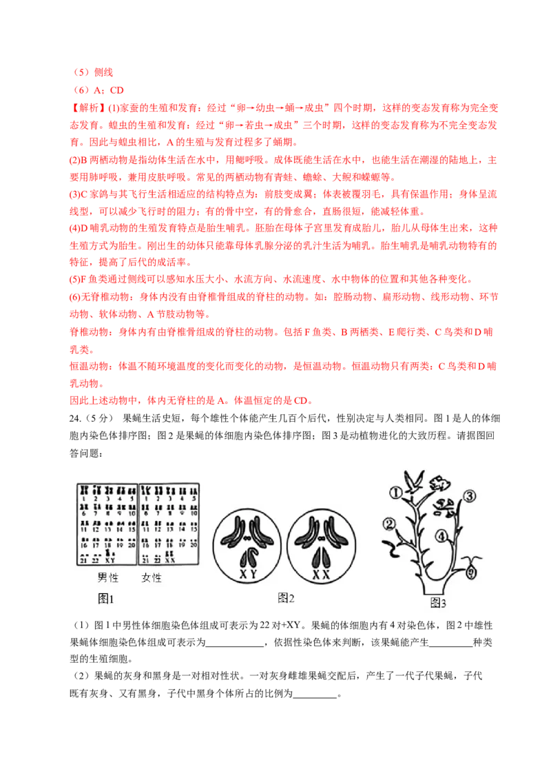 生物（江西卷）（全解全析）_初中全科电子版试卷练习试题_生物_2024中考模拟题生物(1)_一模_生物（江西卷）-2024年中考第一次模拟考试