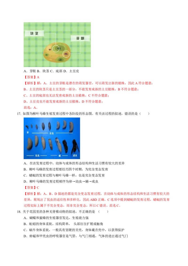 生物（江西卷）（全解全析）_初中全科电子版试卷练习试题_生物_2024中考模拟题生物(1)_一模_生物（江西卷）-2024年中考第一次模拟考试