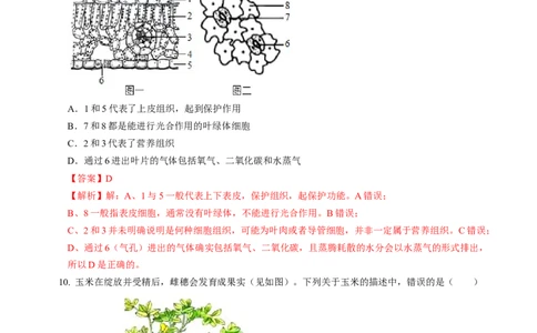 生物（江西卷）（全解全析）_初中全科电子版试卷练习试题_生物_2024中考模拟题生物(1)_一模_生物（江西卷）-2024年中考第一次模拟考试