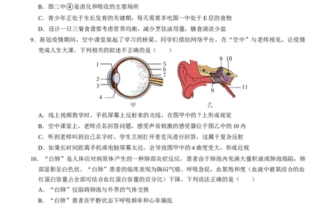 生物（贵阳卷）（考试版A4）_初中全科电子版试卷练习试题_生物_2024中考模拟题生物(1)_一模_生物（贵阳卷）-2024年中考第一次模拟考试