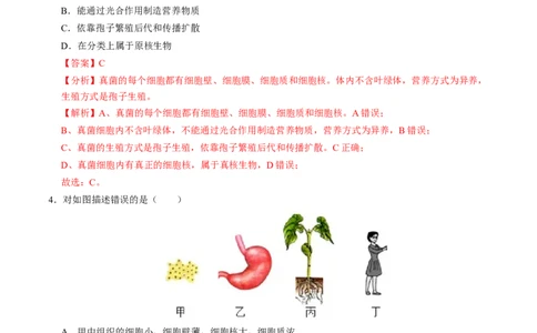生物（遵义卷）（全解全析）_初中全科电子版试卷练习试题_生物_2024中考模拟题生物(1)_二模_生物（遵义卷）-：2024年中考第二次模拟考试