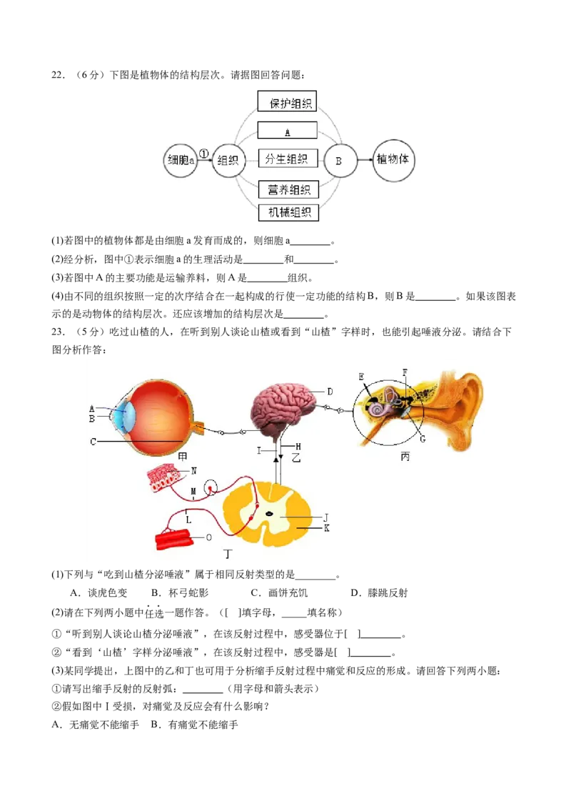 生物（重庆卷）（考试版A4）_初中全科电子版试卷练习试题_生物_2024中考模拟题生物(1)_三模（37套）_生物（重庆卷）