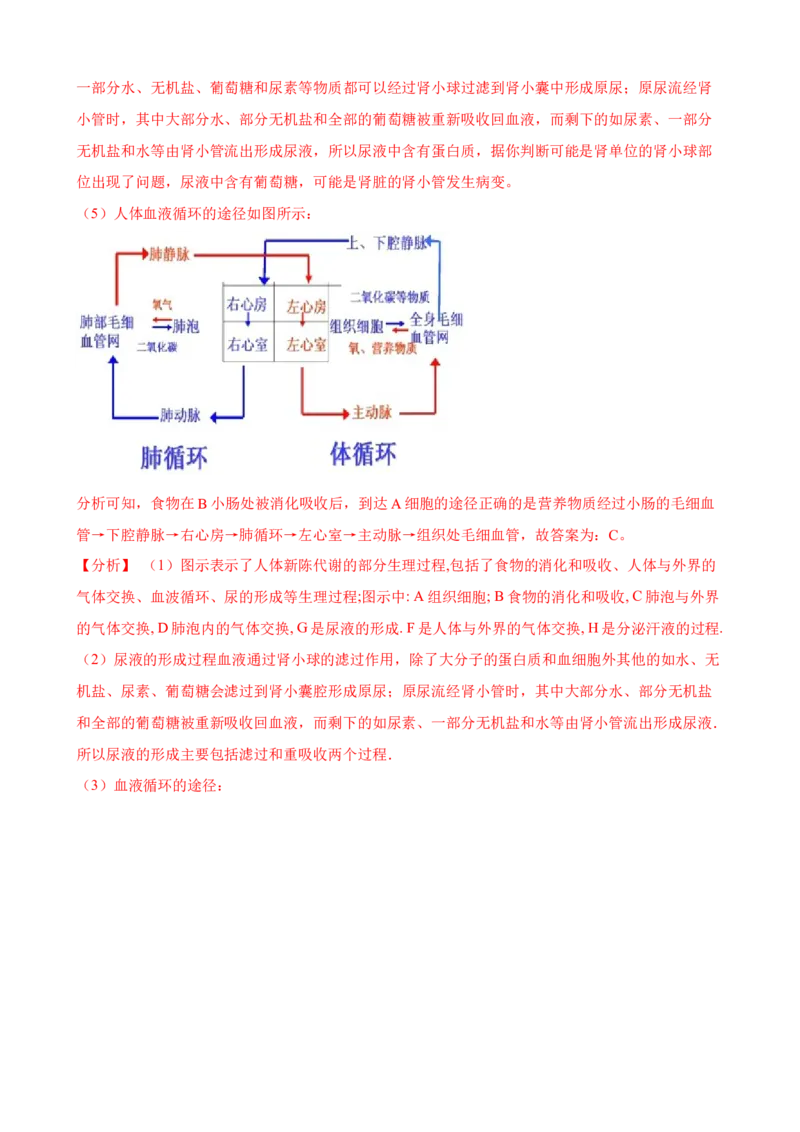 第5章人体内废物的排出（人教版）(解析版）_初中全科电子版试卷练习试题_生物_生物人教版7下练习_人教生物7年级下单元试卷33份