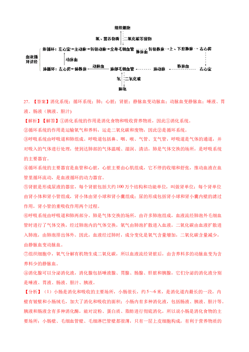 第5章人体内废物的排出（人教版）(解析版）_初中全科电子版试卷练习试题_生物_生物人教版7下练习_人教生物7年级下单元试卷33份