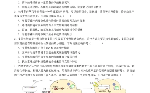 专题一细胞的物质基础和结构基础（原卷版）_2025年新高考资料_二轮复习_上好课2025年高考生物二轮复习讲练测（新高考通用）3380526