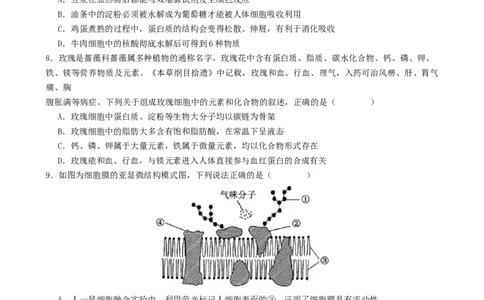 专题一细胞的物质基础和结构基础（原卷版）_2025年新高考资料_二轮复习_上好课2025年高考生物二轮复习讲练测（新高考通用）3380526