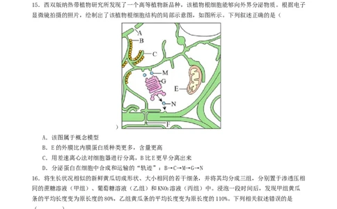 专题一细胞的物质基础和结构基础（原卷版）_2025年新高考资料_二轮复习_上好课2025年高考生物二轮复习讲练测（新高考通用）3380526