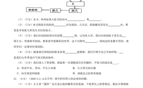 第1章人的由来（人教版）（原卷版）_初中全科电子版试卷练习试题_生物_生物人教版7下练习_人教生物7年级下单元试卷33份_第2套七年级生物下册单元试卷（人教版）07份