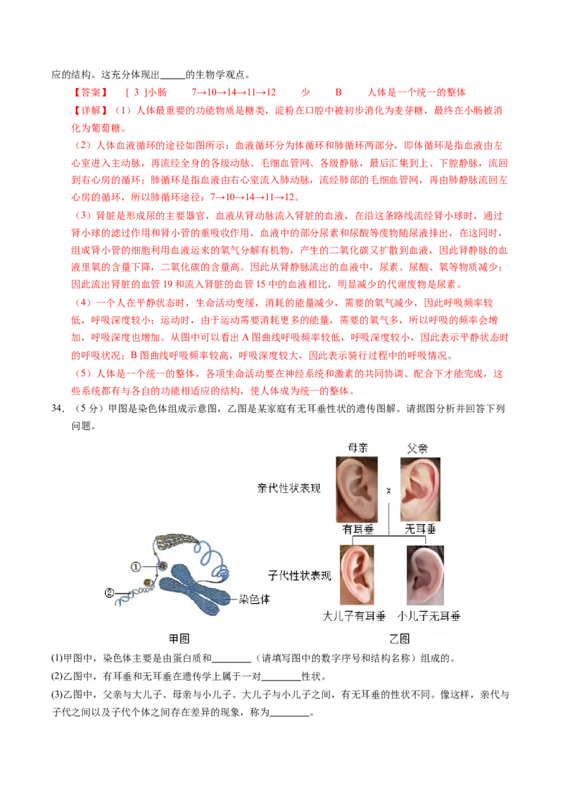 生物（云南卷）（全解全析）_初中全科电子版试卷练习试题_生物_2024中考模拟题生物(1)_一模_生物（云南卷）-2024年中考第一次模拟考试