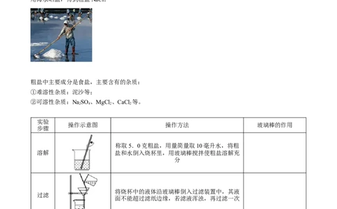 第11讲粗盐中难溶性杂质的去除（原卷版）_初中全科电子版试卷练习试题_化学_9年级上下册化学试题_9年级下试题_人教化学九年级下专项练习（013份）