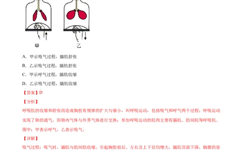 期末押题01-（人教版）（解析版）_初中全科电子版试卷练习试题_生物_生物人教版7下练习_人教生物7年级下期末试卷11份
