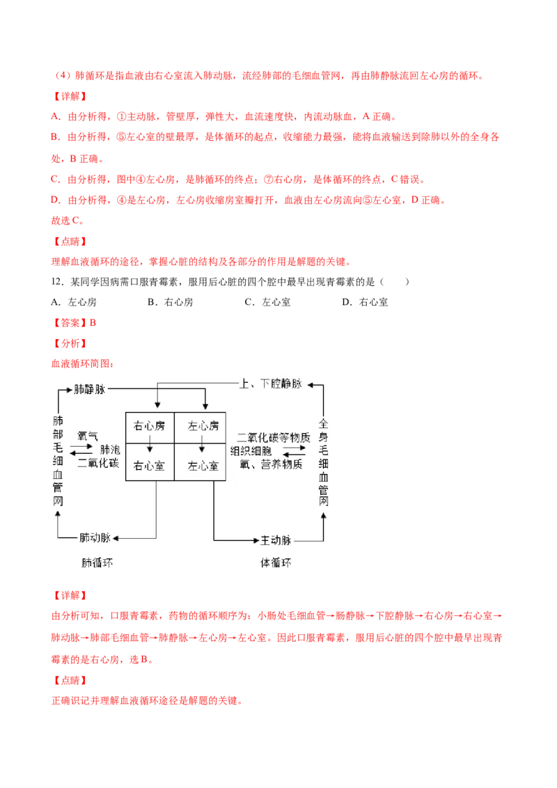 期末押题01-（人教版）（解析版）_初中全科电子版试卷练习试题_生物_生物人教版7下练习_人教生物7年级下期末试卷11份
