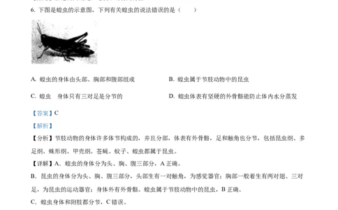 八年级上学期期中生物试题04（解析版）_初中全科电子版试卷练习试题_生物_生物8上练习_人教生物8年级上期中试卷08份