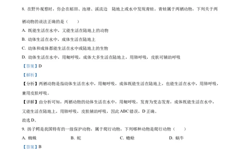 八年级上学期期中生物试题04（解析版）_初中全科电子版试卷练习试题_生物_生物8上练习_人教生物8年级上期中试卷08份