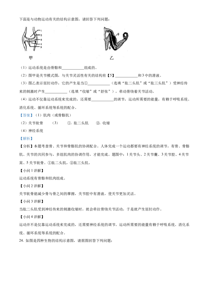 八年级上学期期中生物试题04（解析版）_初中全科电子版试卷练习试题_生物_生物8上练习_人教生物8年级上期中试卷08份