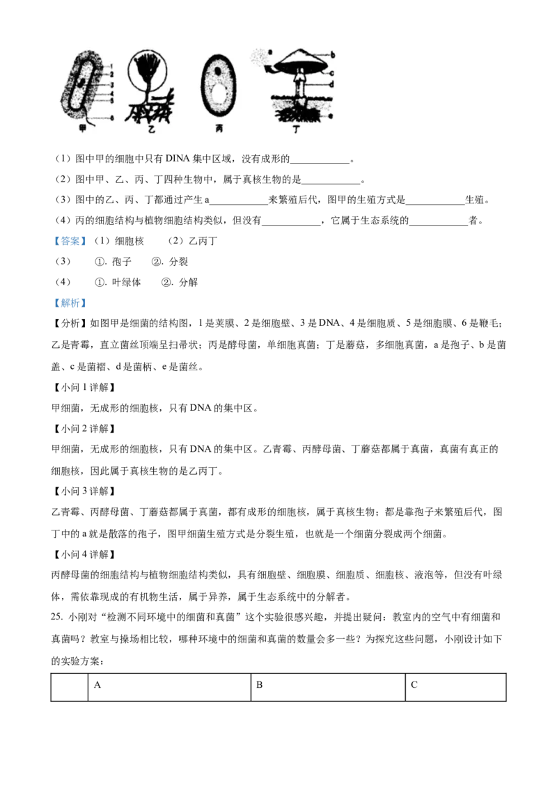 八年级上学期期中生物试题04（解析版）_初中全科电子版试卷练习试题_生物_生物8上练习_人教生物8年级上期中试卷08份