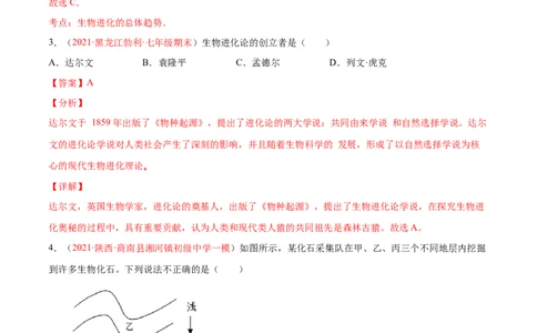 第07单元第03章生命起源和生物进化单元测试（B卷&middot;提升能力）（解析版）_初中全科电子版试卷练习试题_生物_生物8下练习_人教生物8年级下单元试卷38份