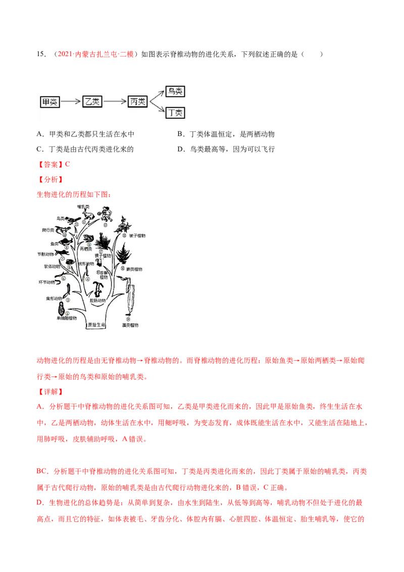 第07单元第03章生命起源和生物进化单元测试（B卷&middot;提升能力）（解析版）_初中全科电子版试卷练习试题_生物_生物8下练习_人教生物8年级下单元试卷38份