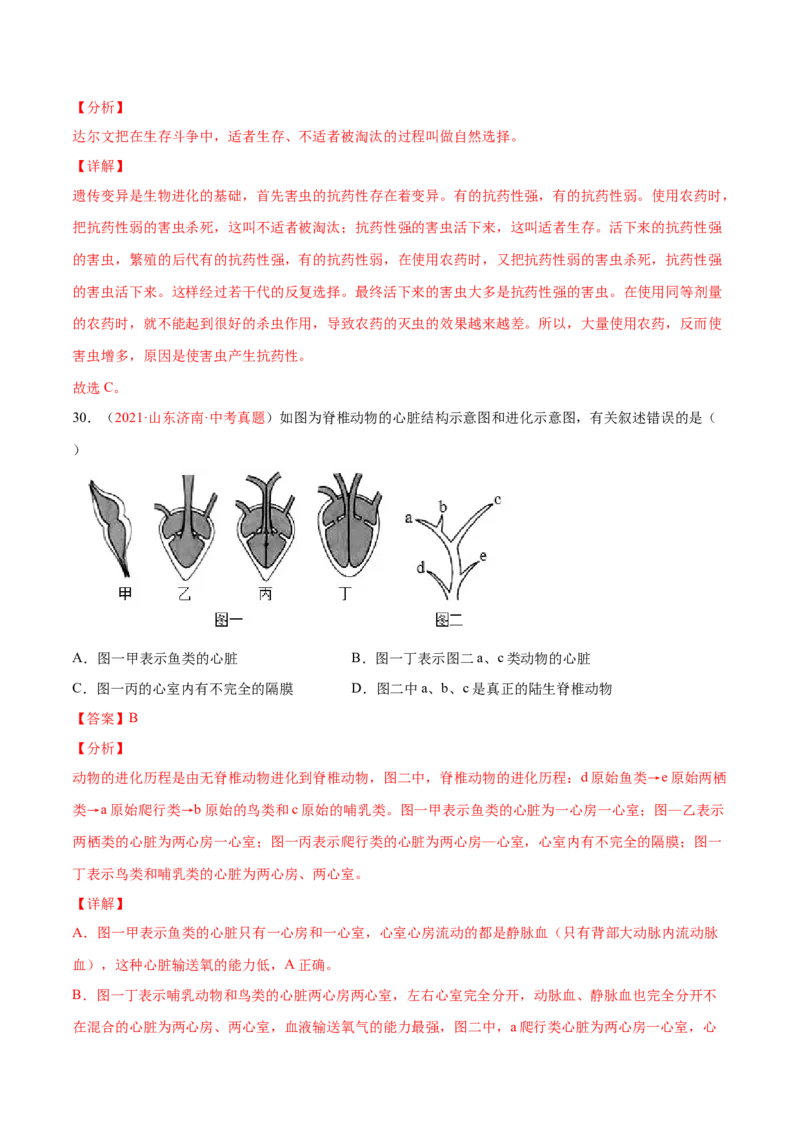 第07单元第03章生命起源和生物进化单元测试（B卷&middot;提升能力）（解析版）_初中全科电子版试卷练习试题_生物_生物8下练习_人教生物8年级下单元试卷38份
