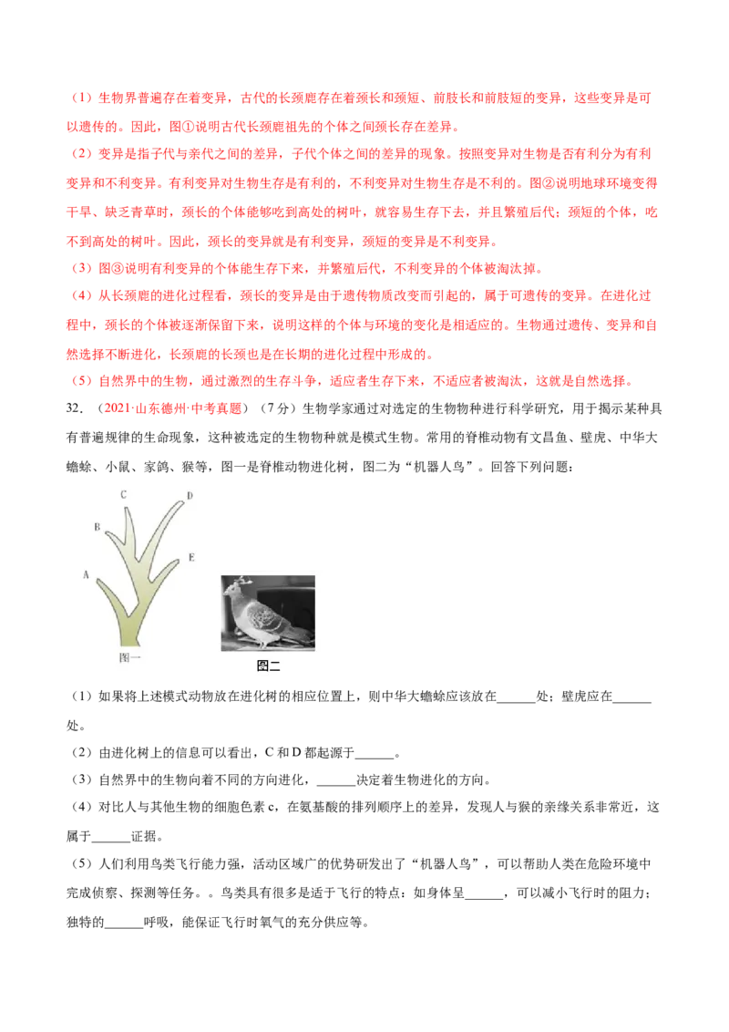 第07单元第03章生命起源和生物进化单元测试（B卷&middot;提升能力）（解析版）_初中全科电子版试卷练习试题_生物_生物8下练习_人教生物8年级下单元试卷38份