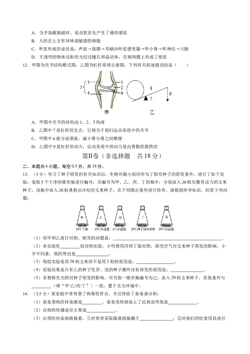 生物（辽宁卷）（考试版A4）_初中全科电子版试卷练习试题_生物_2024中考模拟题生物(1)_三模（37套）_生物（辽宁卷）