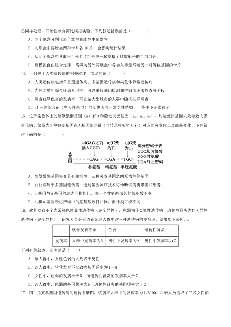 专题四遗传的基本规律和人类遗传病（原卷版）_2025年新高考资料_二轮复习_上好课2025年高考生物二轮复习讲练测（新高考通用）3380526