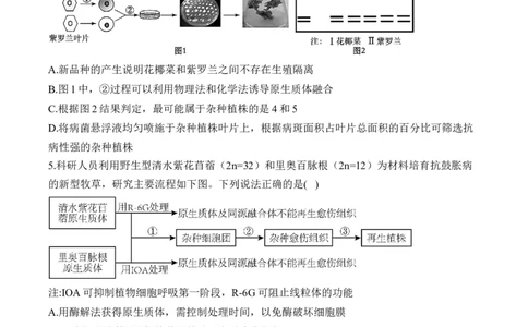 专题十七细胞工程与胚胎工程&mdash;2025届高考生物考点剖析专题卷（含解析）_2025年新高考资料_一轮复习_2025届高考生物一轮复习考点剖析练习（有解析）