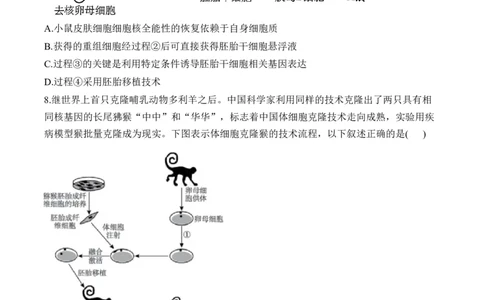 专题十七细胞工程与胚胎工程&mdash;2025届高考生物考点剖析专题卷（含解析）_2025年新高考资料_一轮复习_2025届高考生物一轮复习考点剖析练习（有解析）
