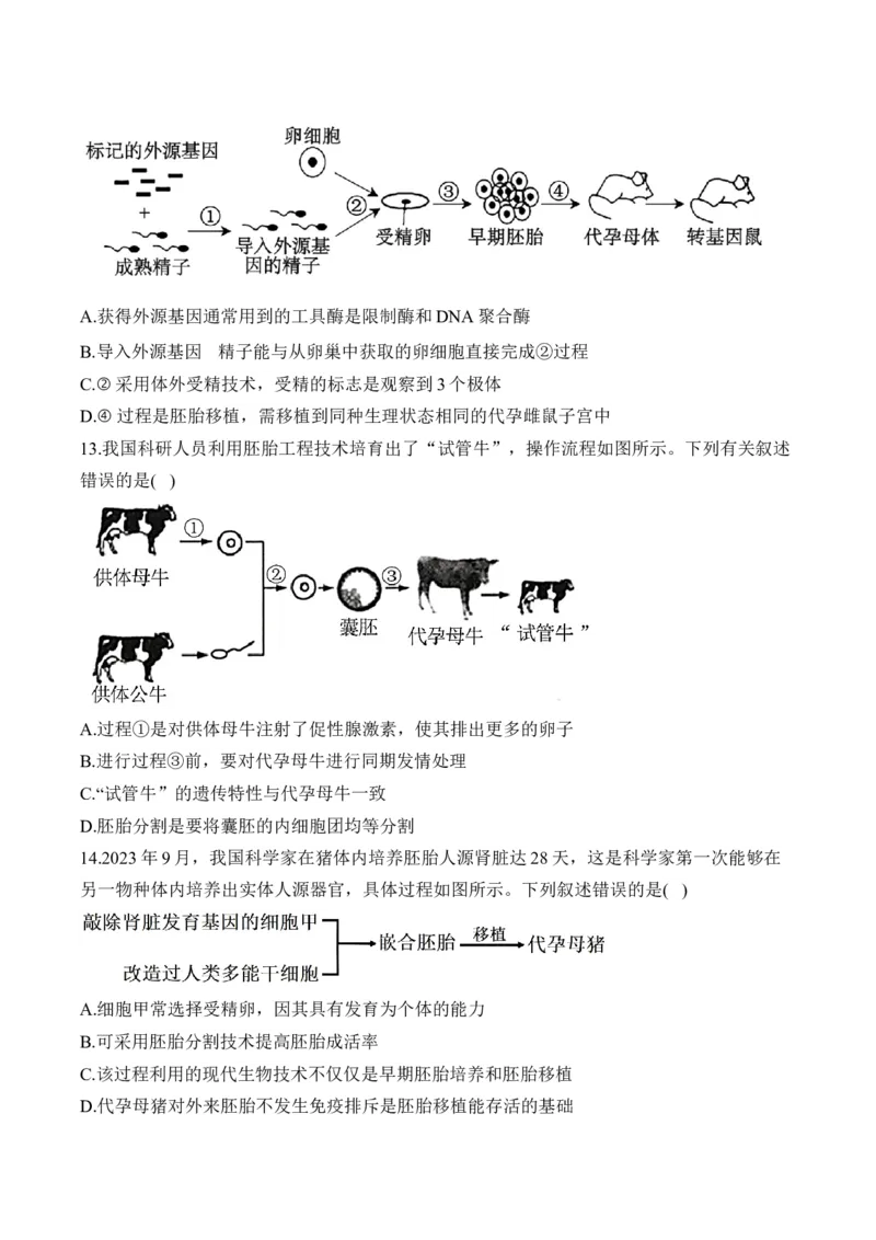 专题十七细胞工程与胚胎工程&mdash;2025届高考生物考点剖析专题卷（含解析）_2025年新高考资料_一轮复习_2025届高考生物一轮复习考点剖析练习（有解析）