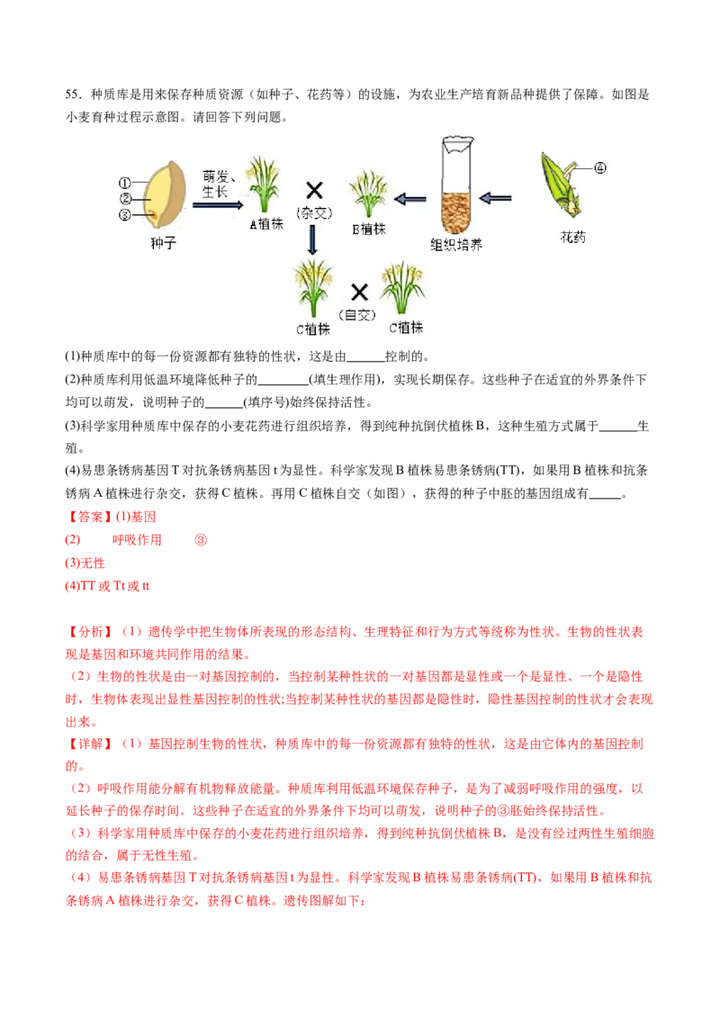 生物（无锡卷）（全解全析）_初中全科电子版试卷练习试题_生物_2024中考模拟题生物(1)_一模_生物（无锡卷）-2024年中考第一次模拟考试