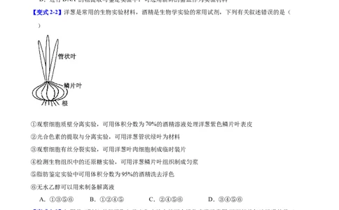 专题十实验与探究（原卷版）_2025年新高考资料_二轮复习_01高考语文等多个文件_举一反三2025年高考生物二轮重点专题讲义（新高考通用）