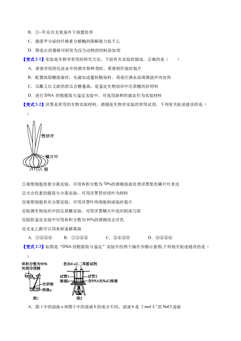 专题十实验与探究（原卷版）_2025年新高考资料_二轮复习_01高考语文等多个文件_举一反三2025年高考生物二轮重点专题讲义（新高考通用）
