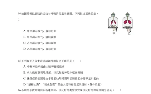特训04选择题（20题）-（尖子生专用）（考试版）_初中全科电子版试卷练习试题_生物_生物人教版7下练习_人教生物7年级下专项练习16份