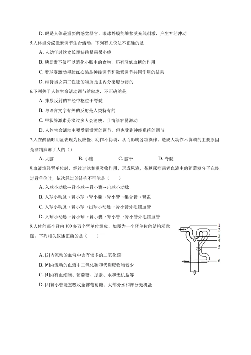 特训04选择题（20题）-（尖子生专用）（考试版）_初中全科电子版试卷练习试题_生物_生物人教版7下练习_人教生物7年级下专项练习16份
