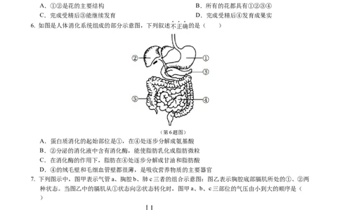 生物（吉林卷）（考试版A4）_初中全科电子版试卷练习试题_生物_2024中考模拟题生物(1)_二模_生物（吉林卷）-：2024年中考第二次模拟考试
