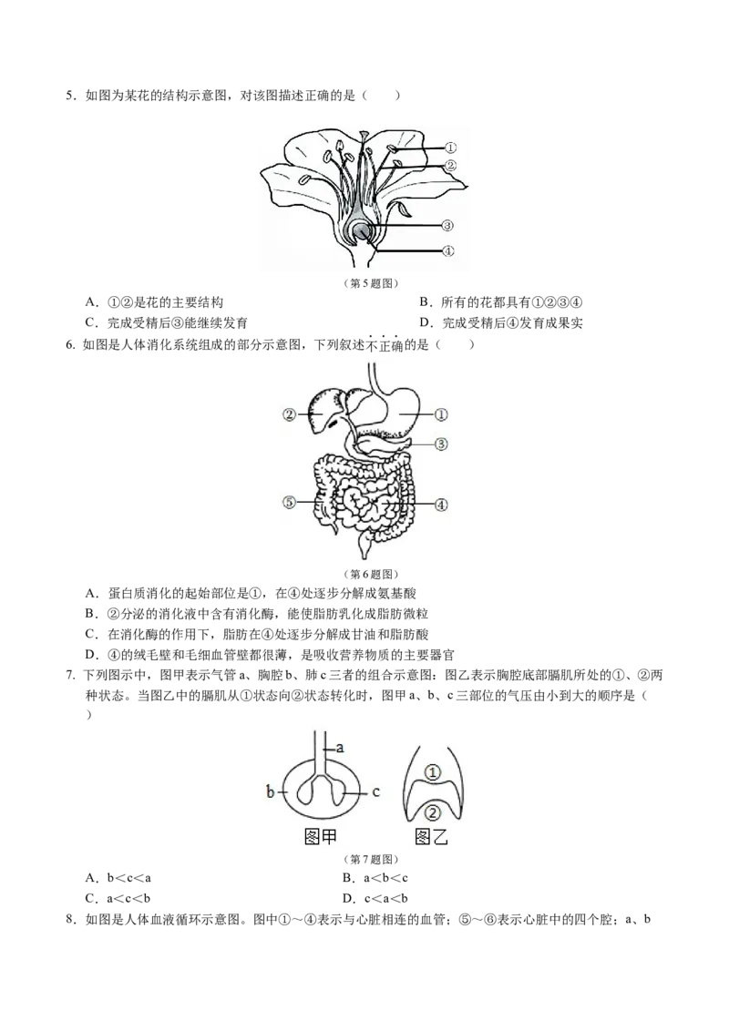 生物（吉林卷）（考试版A4）_初中全科电子版试卷练习试题_生物_2024中考模拟题生物(1)_二模_生物（吉林卷）-：2024年中考第二次模拟考试