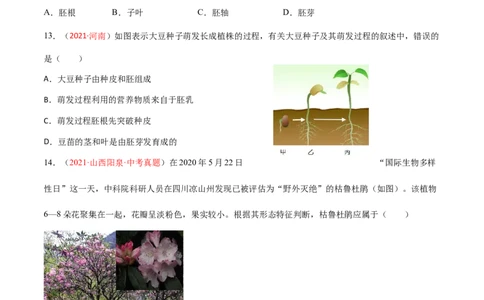 第03单元第01章生物圈中有哪些绿色植物、02章被子植物的一生单元测试（A卷劣实基础）（原卷版）_初中全科电子版试卷练习试题_生物_生物人教版7上练习&mdash;24新版已更新