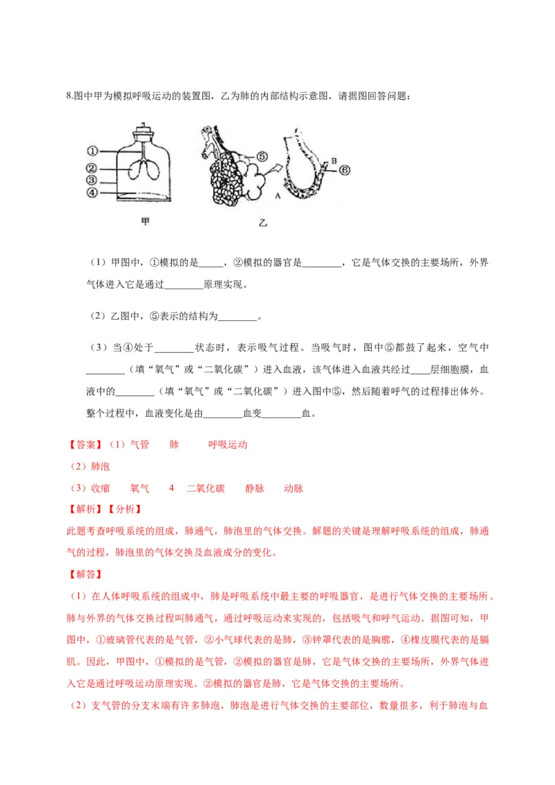 特训05填空题（20题）-（尖子生专用）（解析版）_初中全科电子版试卷练习试题_生物_生物人教版7下练习_人教生物7年级下专项练习16份