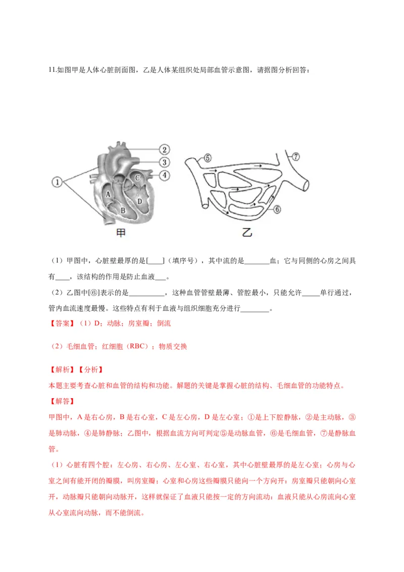 特训05填空题（20题）-（尖子生专用）（解析版）_初中全科电子版试卷练习试题_生物_生物人教版7下练习_人教生物7年级下专项练习16份