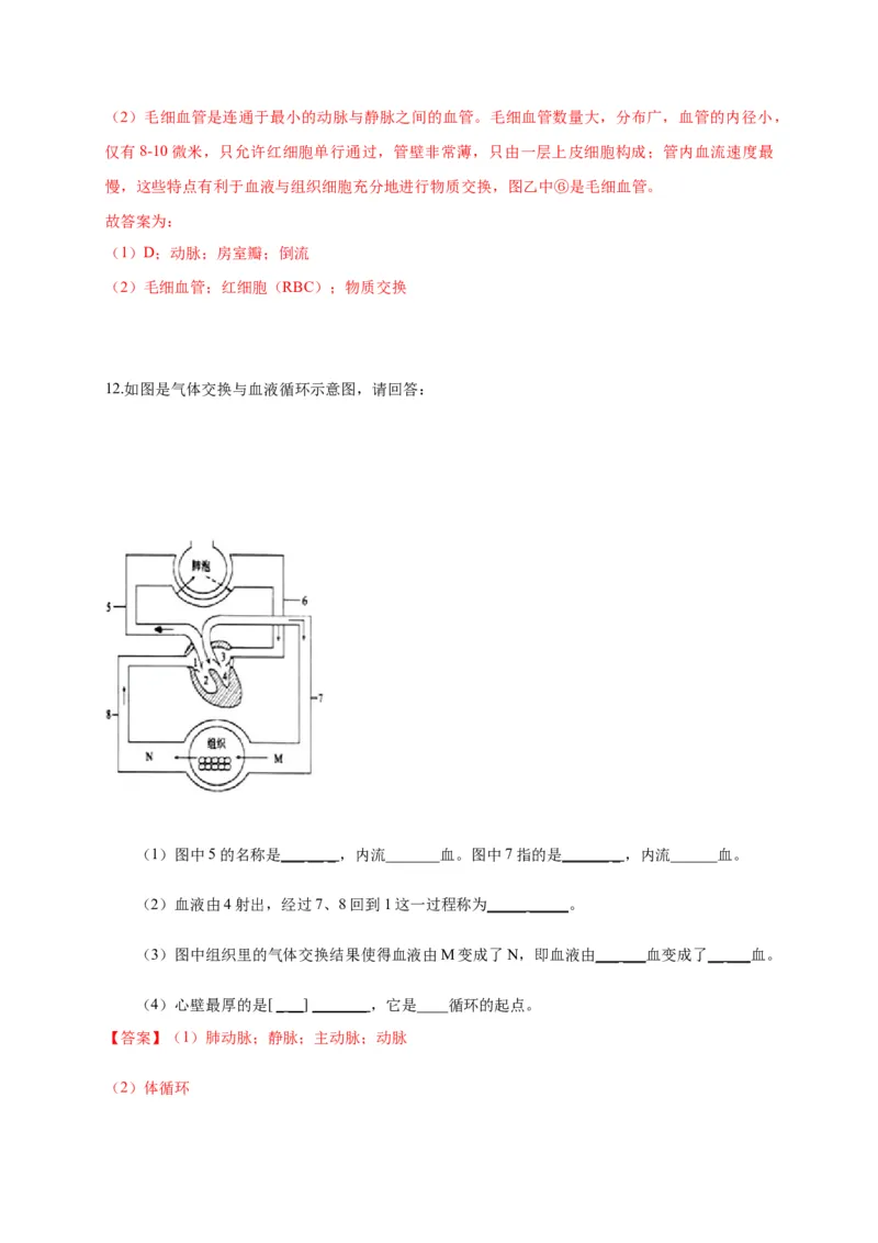 特训05填空题（20题）-（尖子生专用）（解析版）_初中全科电子版试卷练习试题_生物_生物人教版7下练习_人教生物7年级下专项练习16份