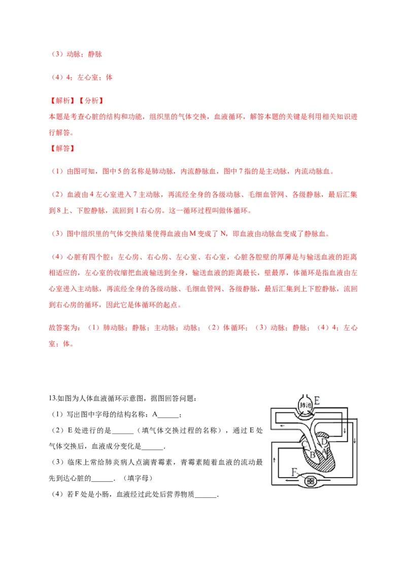 特训05填空题（20题）-（尖子生专用）（解析版）_初中全科电子版试卷练习试题_生物_生物人教版7下练习_人教生物7年级下专项练习16份