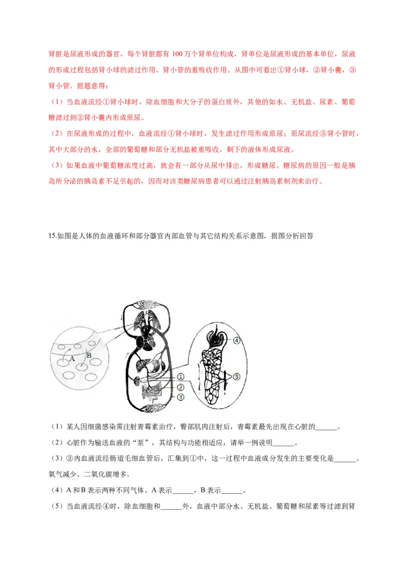 特训05填空题（20题）-（尖子生专用）（解析版）_初中全科电子版试卷练习试题_生物_生物人教版7下练习_人教生物7年级下专项练习16份